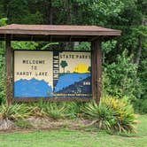 Review photo of Shale Bluff Campground — Hardy Lake State Recreation Area by Stephen & Theresa B., June 30, 2020