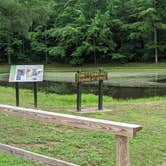 Review photo of Shale Bluff Campground — Hardy Lake State Recreation Area by Stephen & Theresa B., June 30, 2020