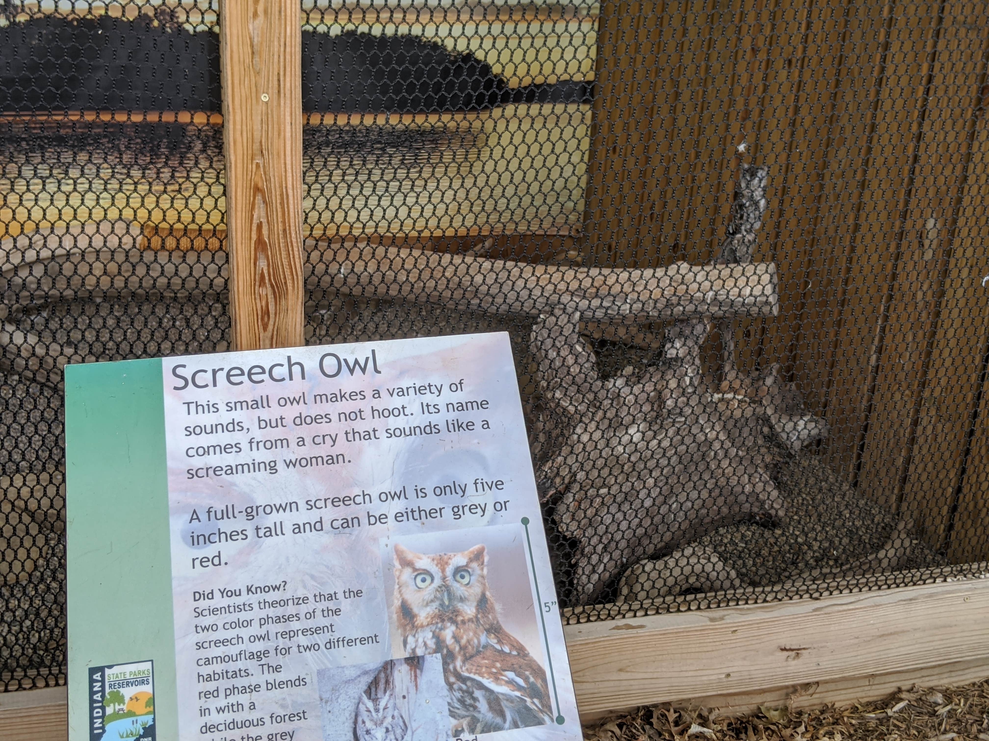 Camping near Clifty Falls State Park Campground: Shale Bluff Campground — Hardy Lake State Recreation Area, Deputy, Indiana