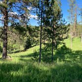 Review photo of Whitetail Campground by Veronica S., June 30, 2020