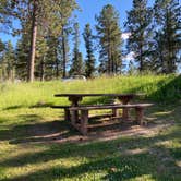 Review photo of Whitetail Campground by Veronica S., June 30, 2020