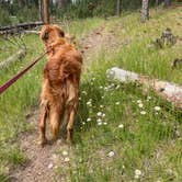 Review photo of Whitetail Campground by Veronica S., June 30, 2020