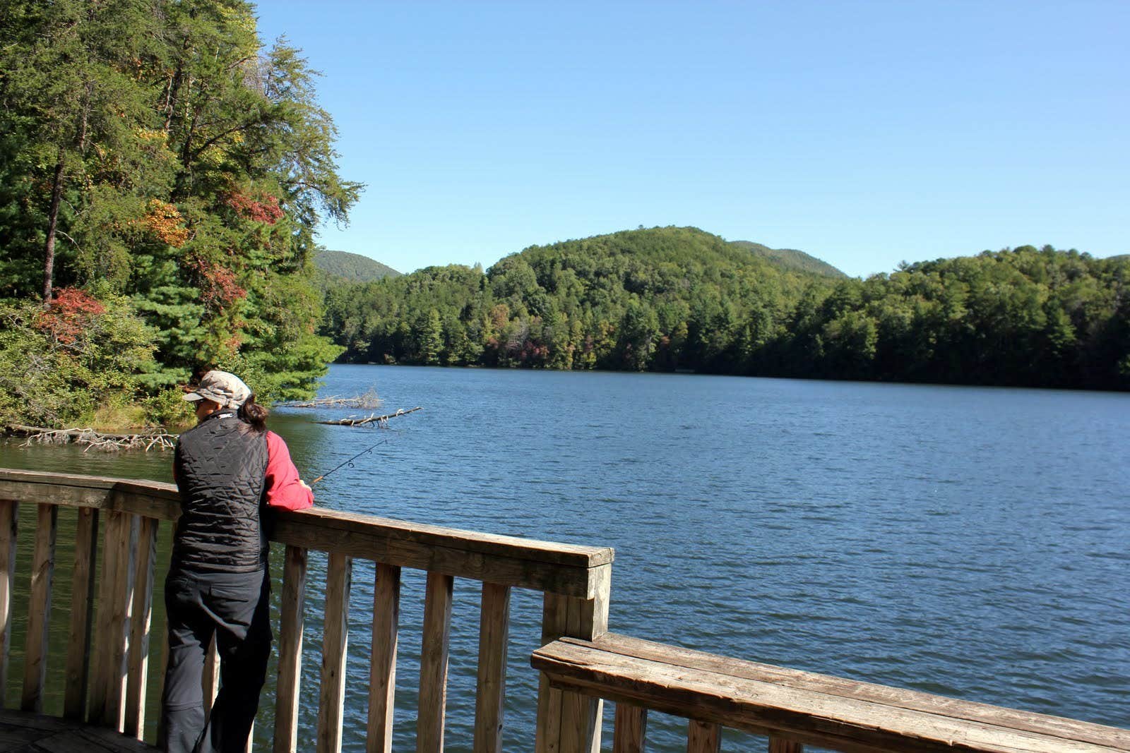 Camper submitted image from Unicoi State Park & Lodge - 5