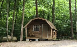 Stephanie J.'s photo of a cabin at Lookout Mountain-Chattanooga West KOA near Pisgah, AL