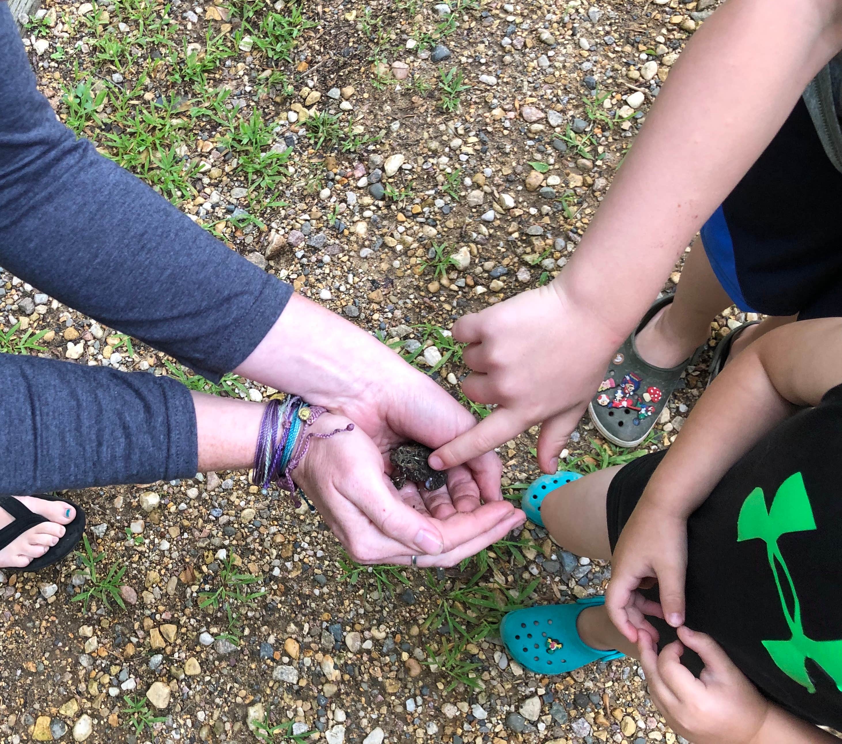 Camper-submitted photo at Lake Poinsett State Rec Area near Arlington, SD