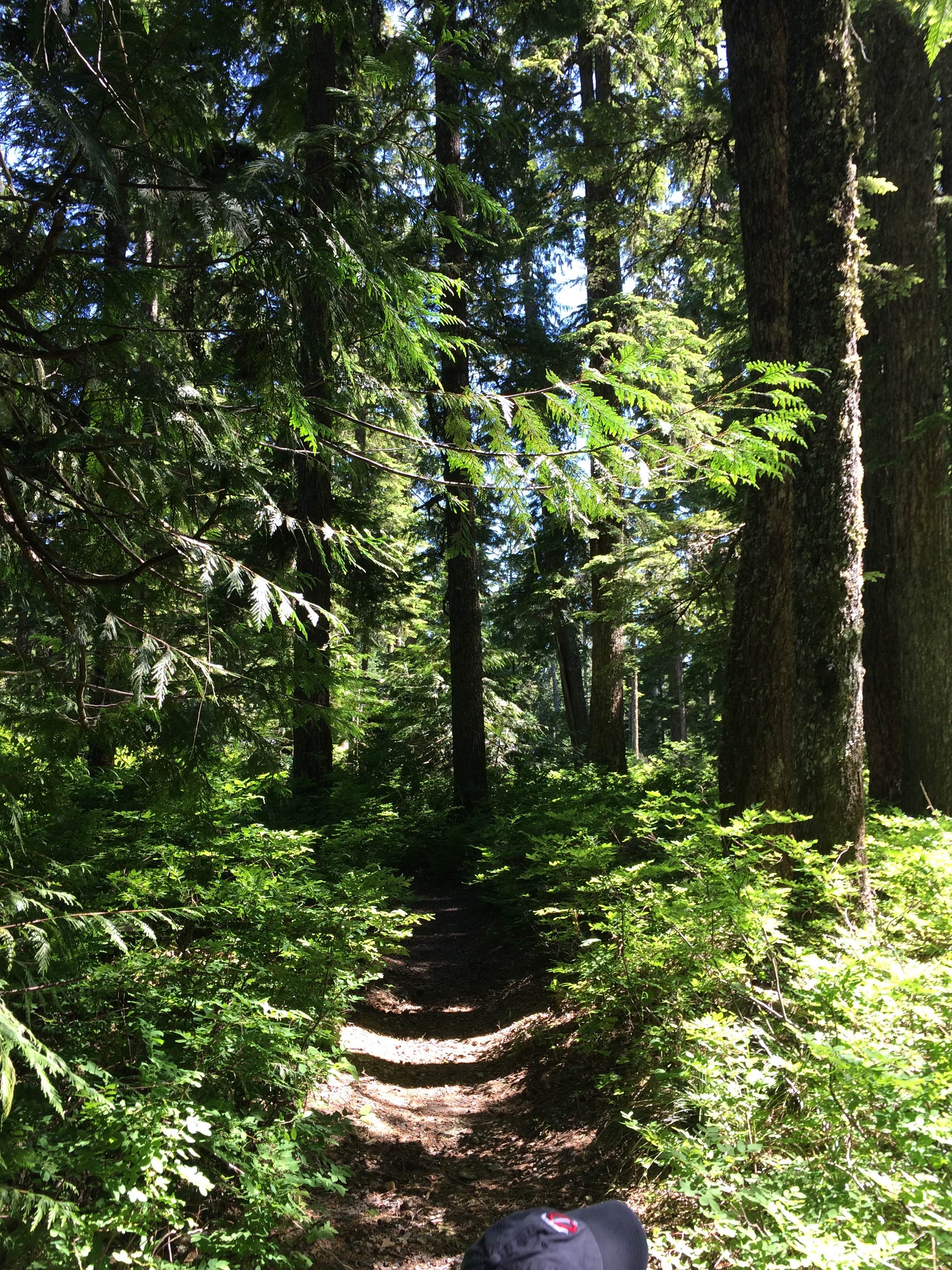 Camper-submitted photo at Lost Lake Resort And Campground — Mt. Hood National Forest near Carson, WA