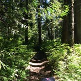 Review photo of Lost Lake Resort And Campground — Mt. Hood National Forest by Brian C., November 1, 2017