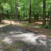Review photo of Nancytown Group Campground by Elizabeth G., June 30, 2020