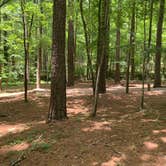 Review photo of Nancytown Group Campground by Elizabeth G., June 30, 2020