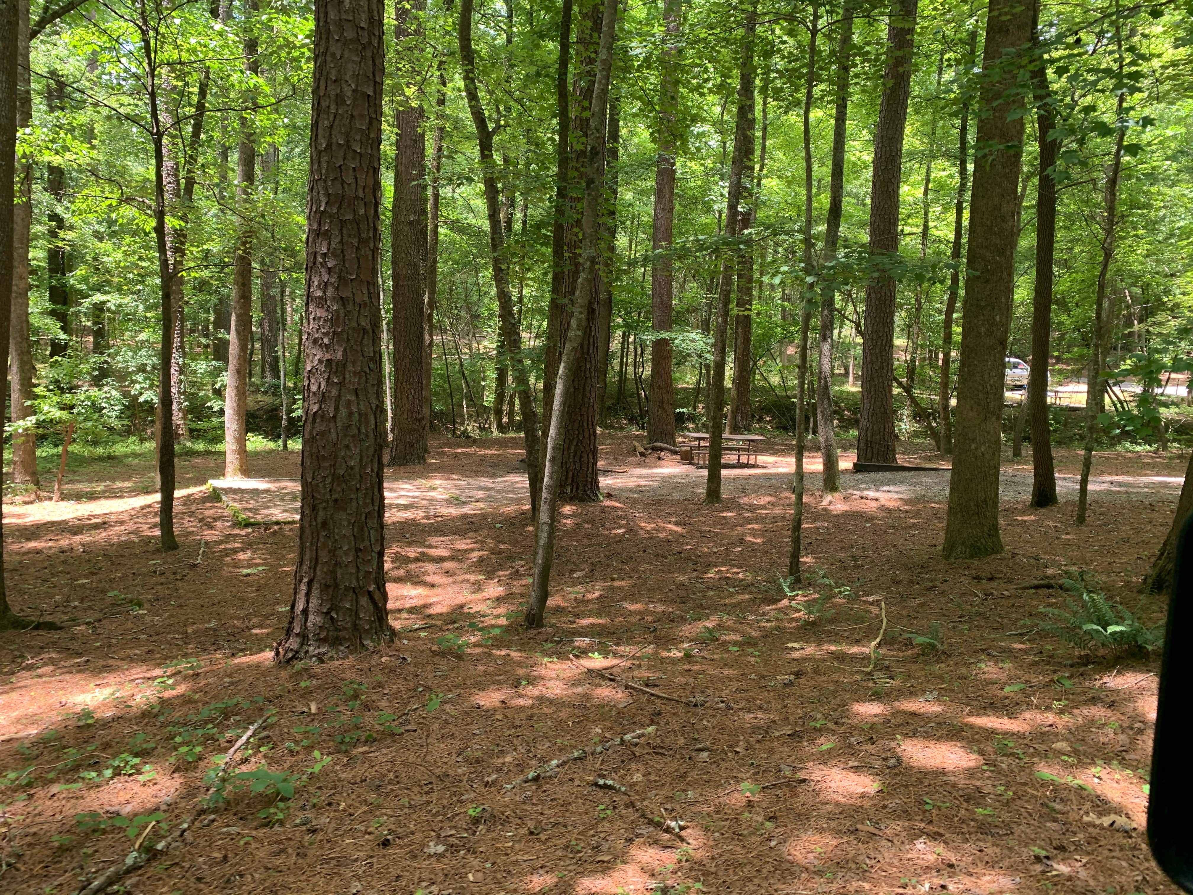 Camper submitted image from Nancytown Group Campground - 5