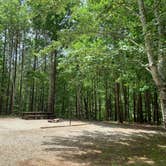 Review photo of Nancytown Group Campground by Elizabeth G., June 30, 2020