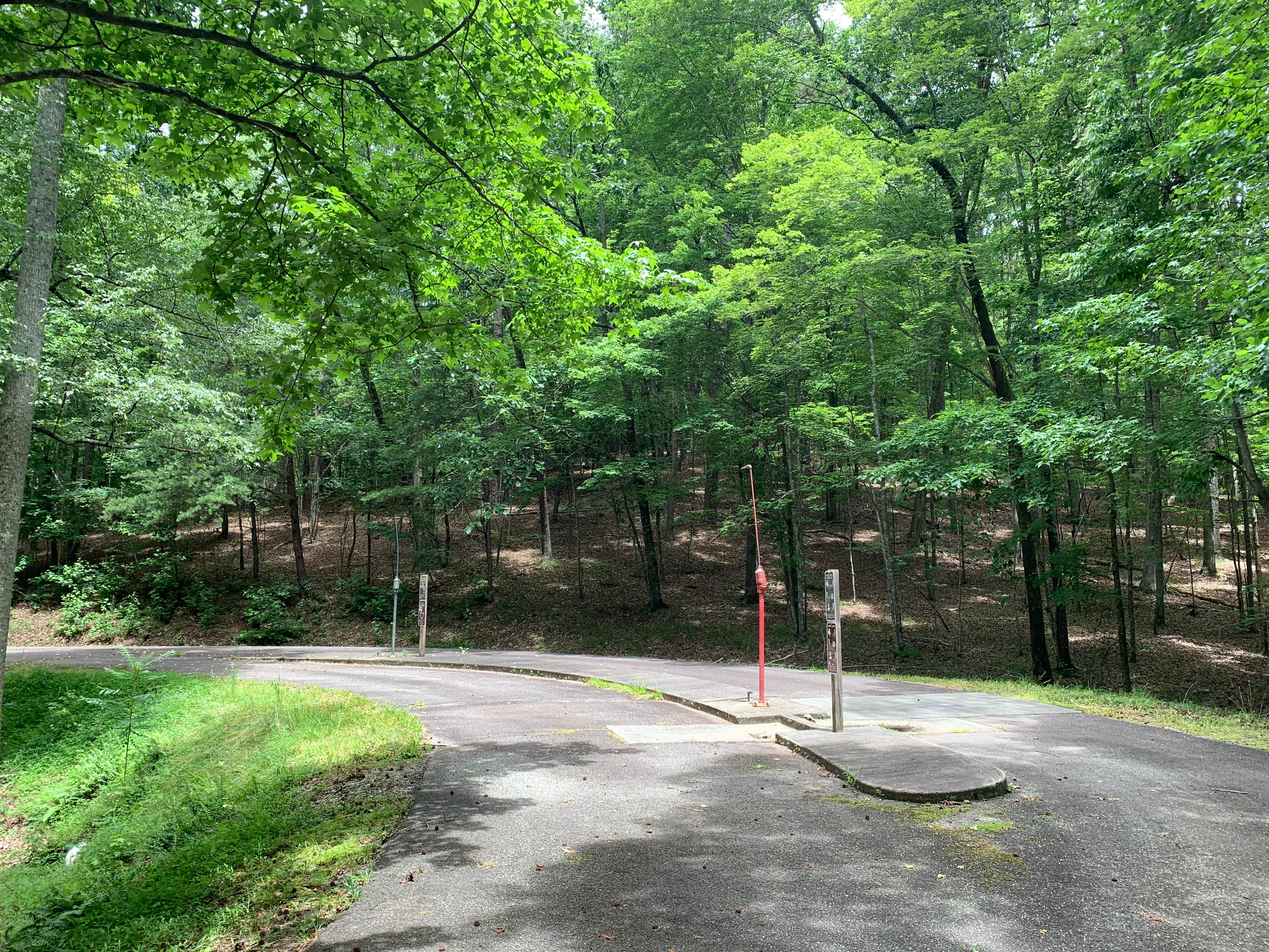Camper-submitted photo at Nancytown Group Campground near Baldwin, GA