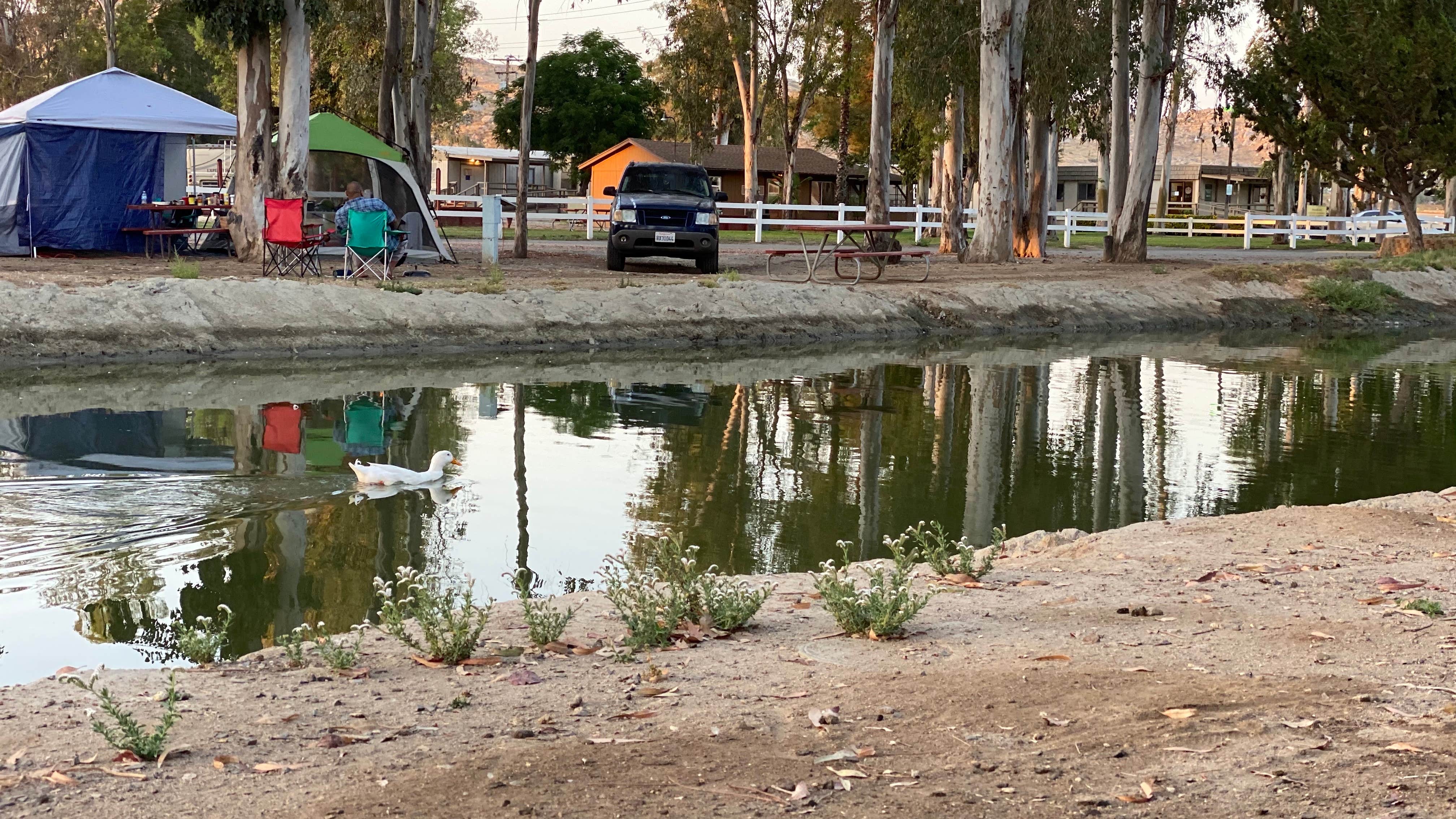 Keisha D.'s photo at Thousand Trails Wilderness Lakes RV Resort near San Jacinto, CA