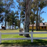 Review photo of Thousand Trails Wilderness Lakes RV Resort by Keisha D., June 30, 2020