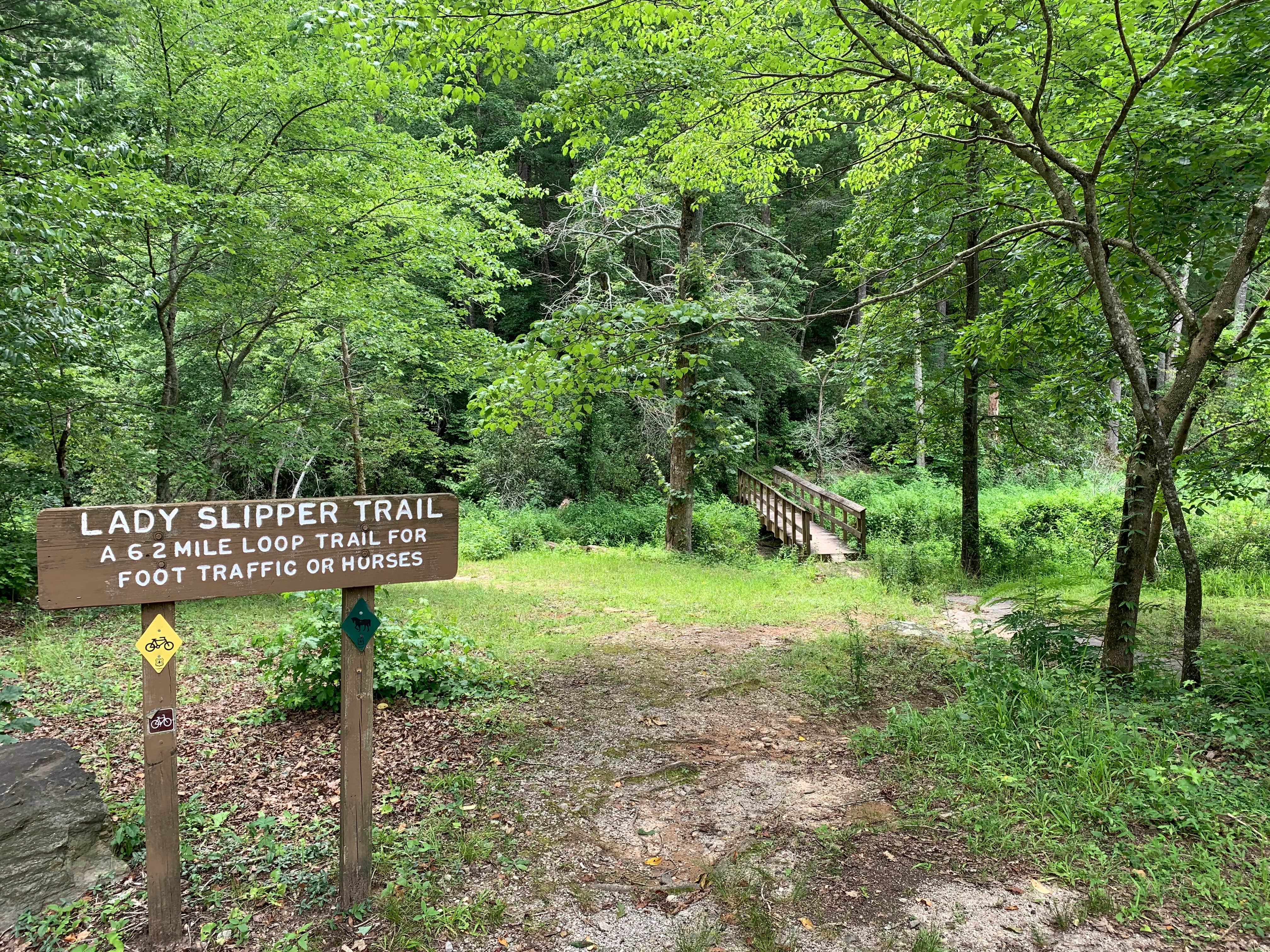Camper submitted image from Lake Russell Recreation Area - 4
