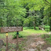 Review photo of Lake Russell Recreation Area by Elizabeth G., June 30, 2020