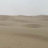 Review photo of Pacific Dunes Ranch by Keisha D., June 30, 2020