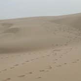 Review photo of Pacific Dunes Ranch by Keisha D., June 30, 2020