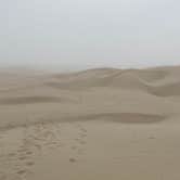 Review photo of Pacific Dunes Ranch by Keisha D., June 30, 2020