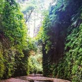Review photo of Gold Bluffs Beach Campground — Prairie Creek Redwoods State Park by PATRICK S., July 2, 2016