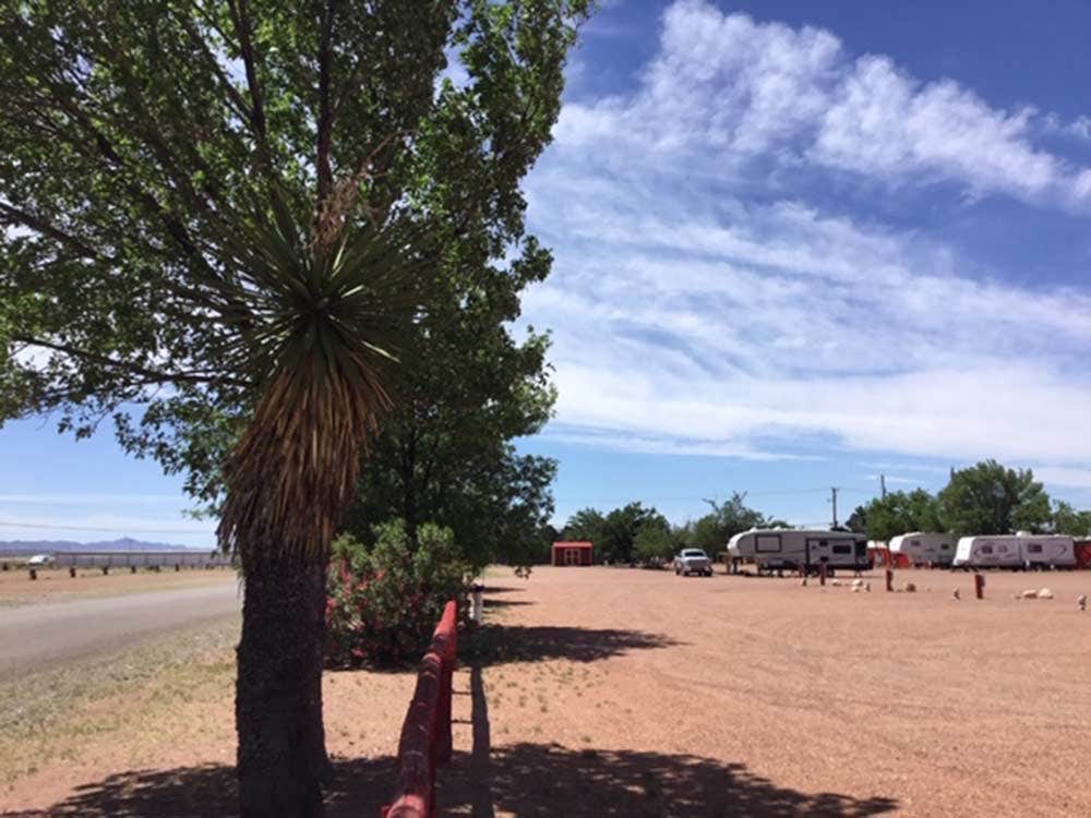 Camper submitted image from Van Horn RV Park - 3
