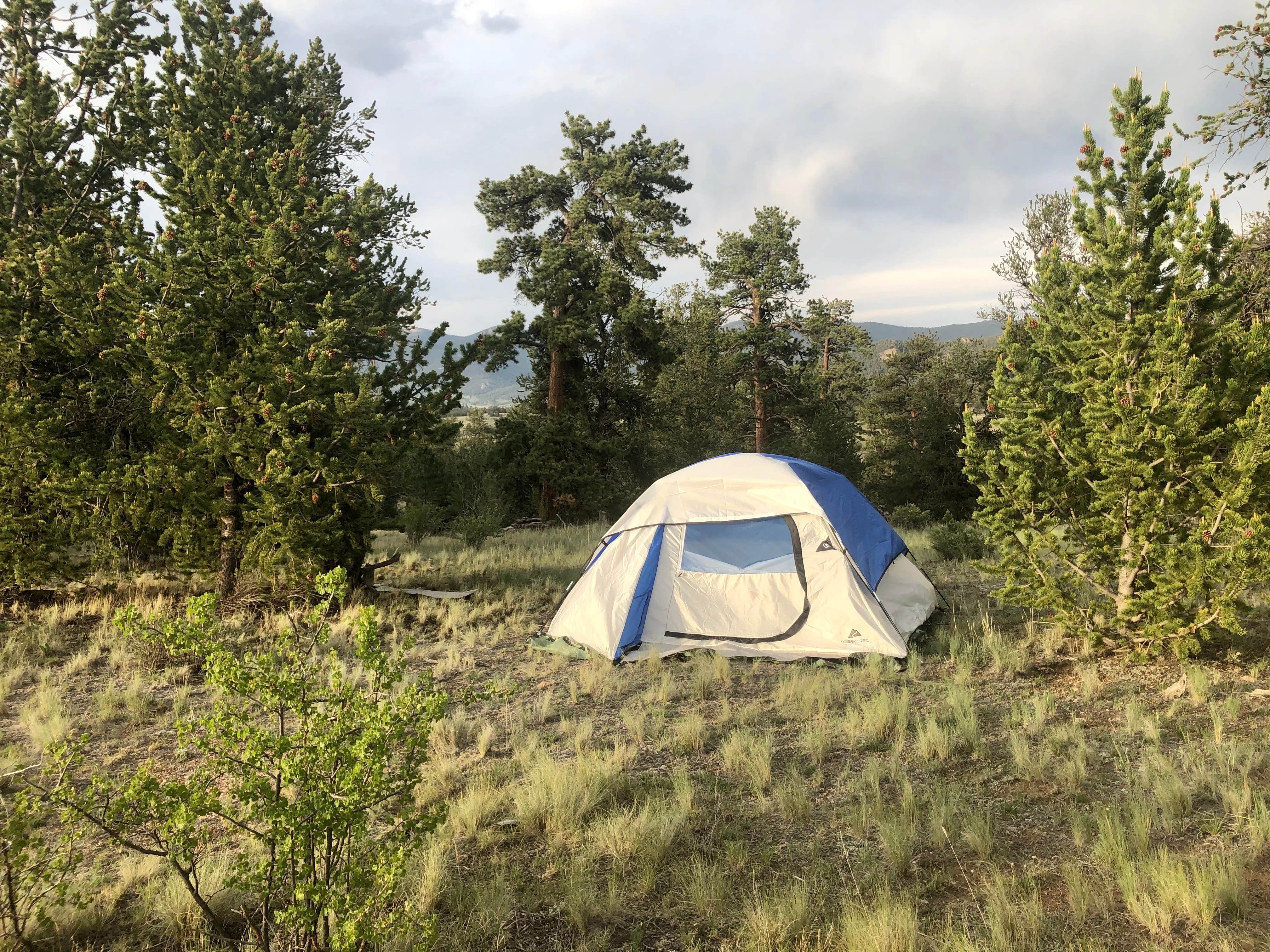 Cassidy O.'s photo at Dispersed camping FSR 239 near Hartsel, CO