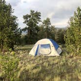 Review photo of Dispersed camping FSR 239 by Cassidy O., June 30, 2020