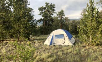 Cassidy O.'s photo of a dispersed camping area at Dispersed camping FSR 239 near Buffalo Creek, CO