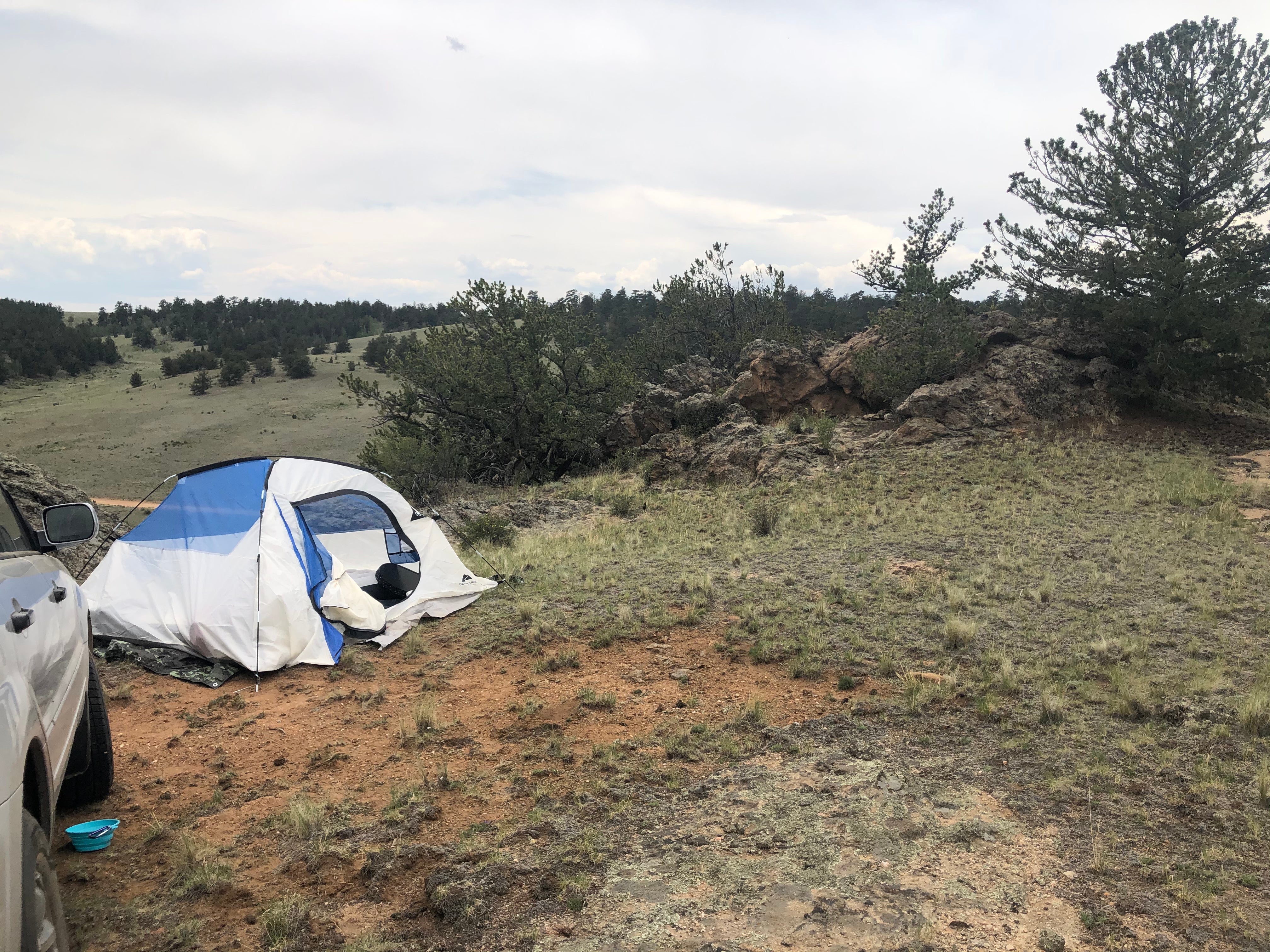 Camper submitted image from Dispersed camping FSR 239 - 4