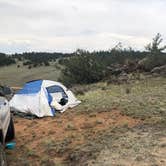 Review photo of Dispersed camping FSR 239 by Cassidy O., June 30, 2020