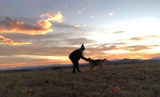 Cassidy O.'s photo of camping with pets at Dispersed camping FSR 239 near Hartsel, CO