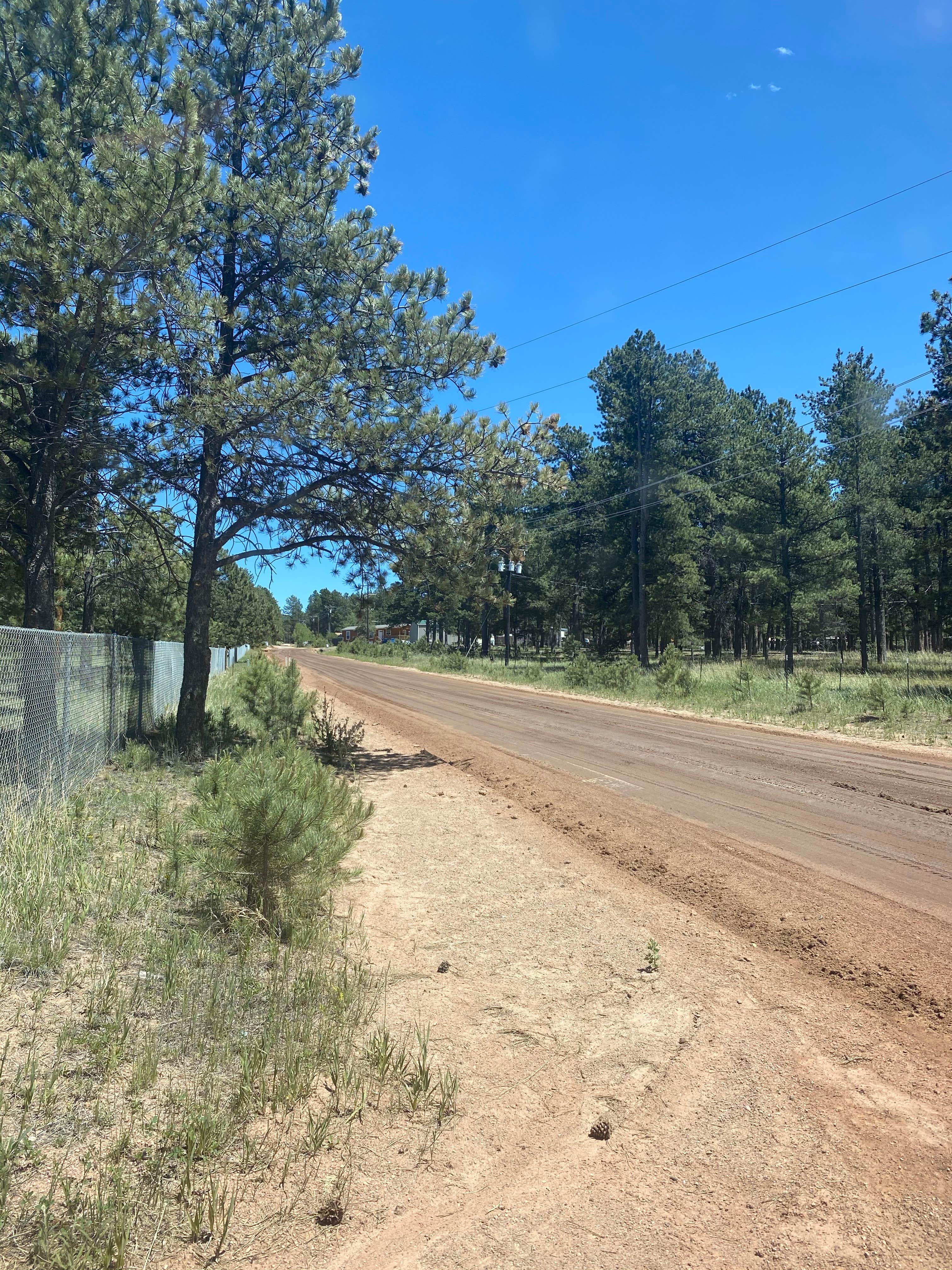 Camper-submitted photo at Historic Triple B Ranch near Lake George, CO