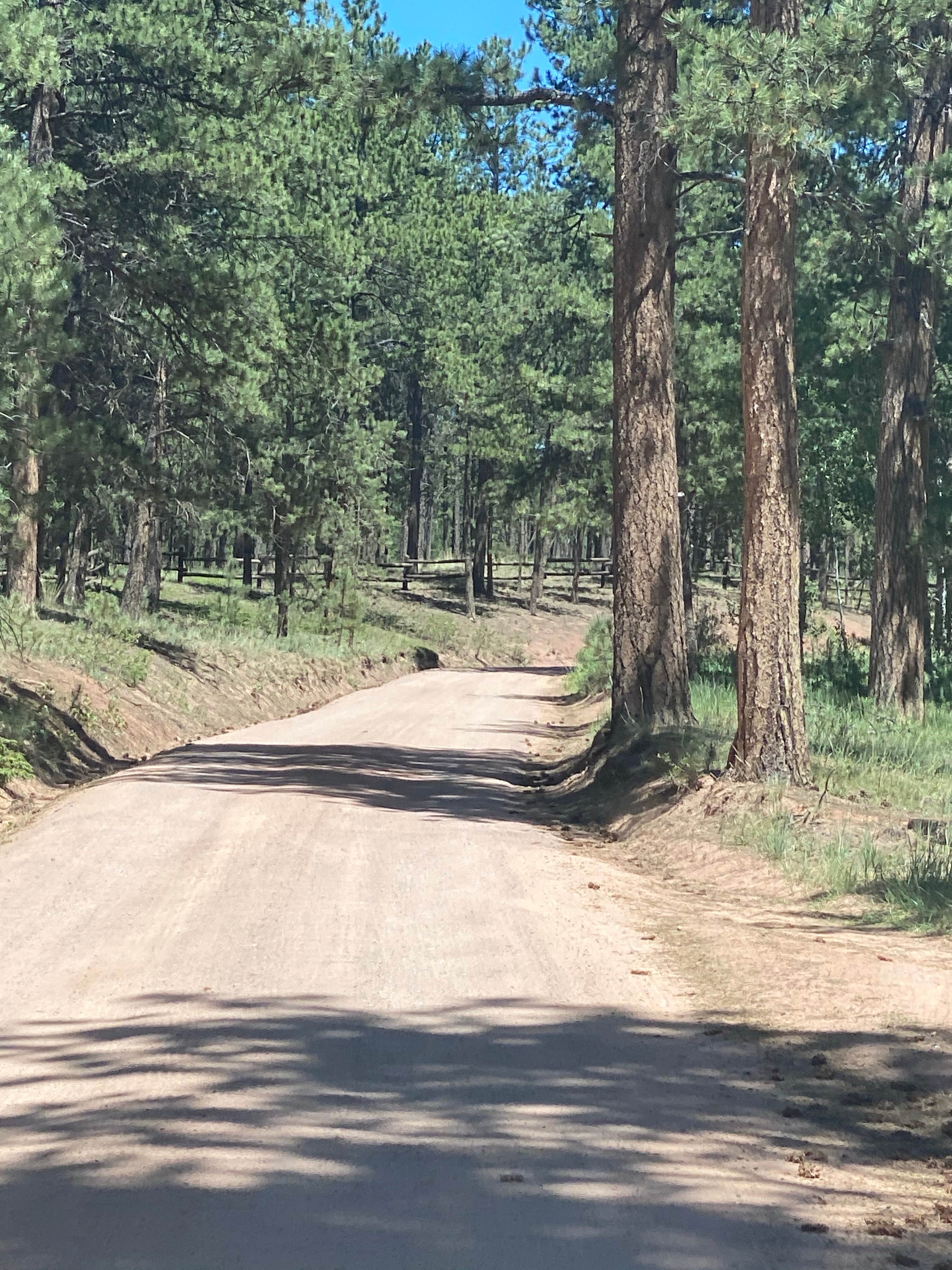 Camper submitted image from Red Rocks Group Campground - 4