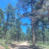 Review photo of Red Rocks Group Campground by Spencer B., June 30, 2020
