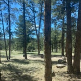 Review photo of Colorado Campground by Spencer B., June 30, 2020