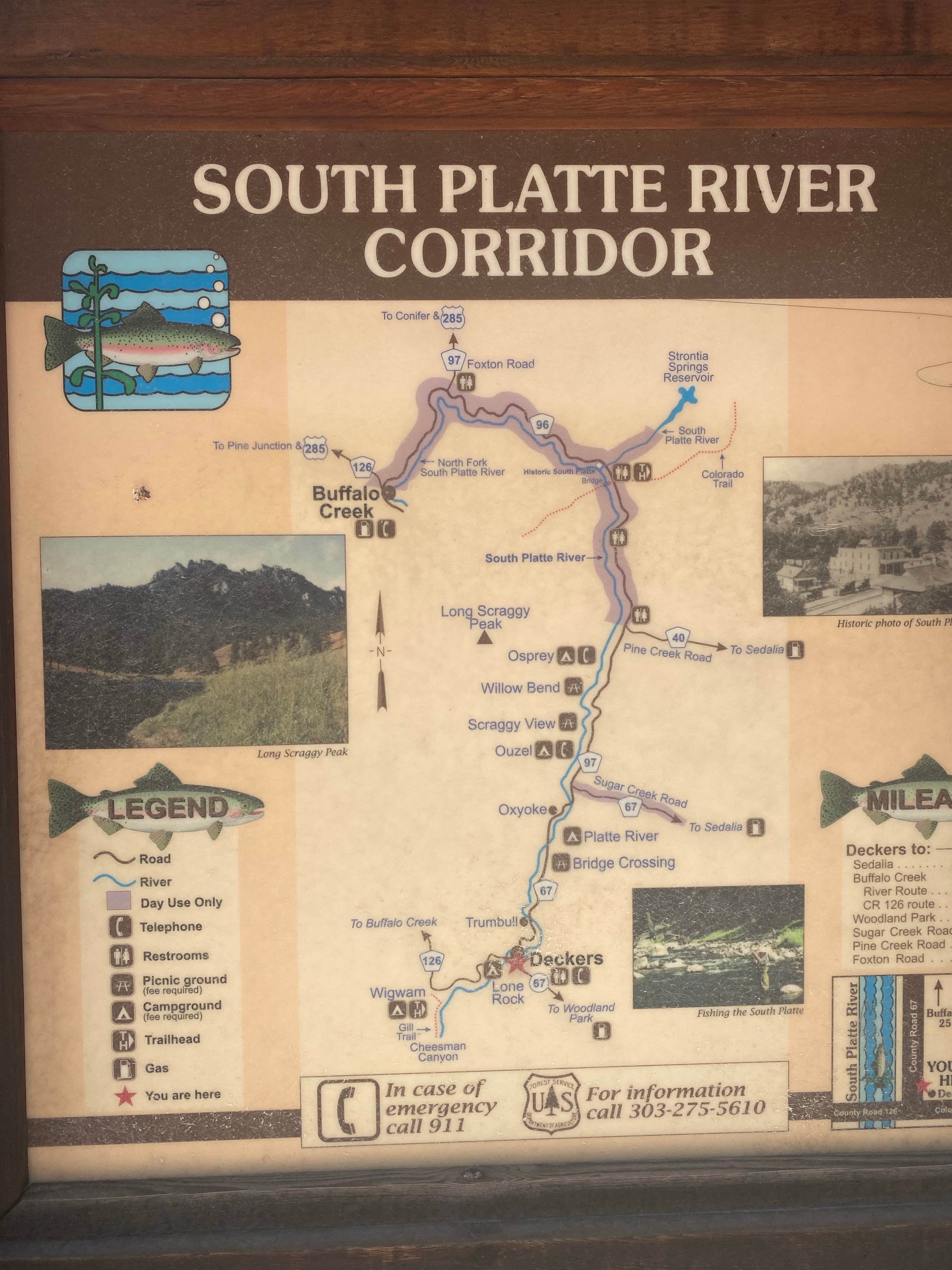 Camper-submitted photo at South Platte River Corridor near Buffalo Creek, CO