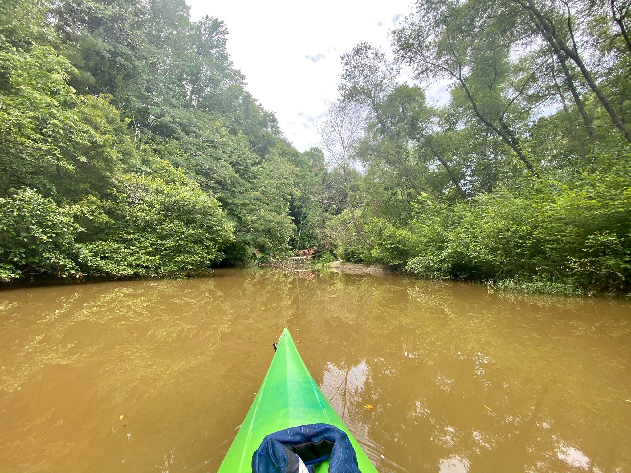 Camper submitted image from Lake Eufaula Campground - 4