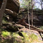 Review photo of About Sipsey Wilderness Backcountry Site (Trail 200 Site E) by Asher K., June 30, 2020