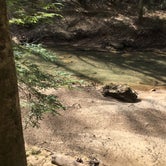 Review photo of About Sipsey Wilderness Backcountry Site (Trail 200 Site E) by Asher K., June 30, 2020