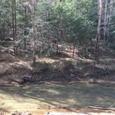 Review photo of About Sipsey Wilderness Backcountry Site (Trail 200 Site E) by Asher K., June 30, 2020