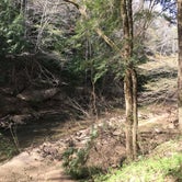Review photo of About Sipsey Wilderness Backcountry Site (Trail 200 Site E) by Asher K., June 30, 2020
