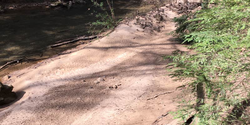 Camper submitted image from About Sipsey Wilderness Backcountry Site (Trail 200 Site E)