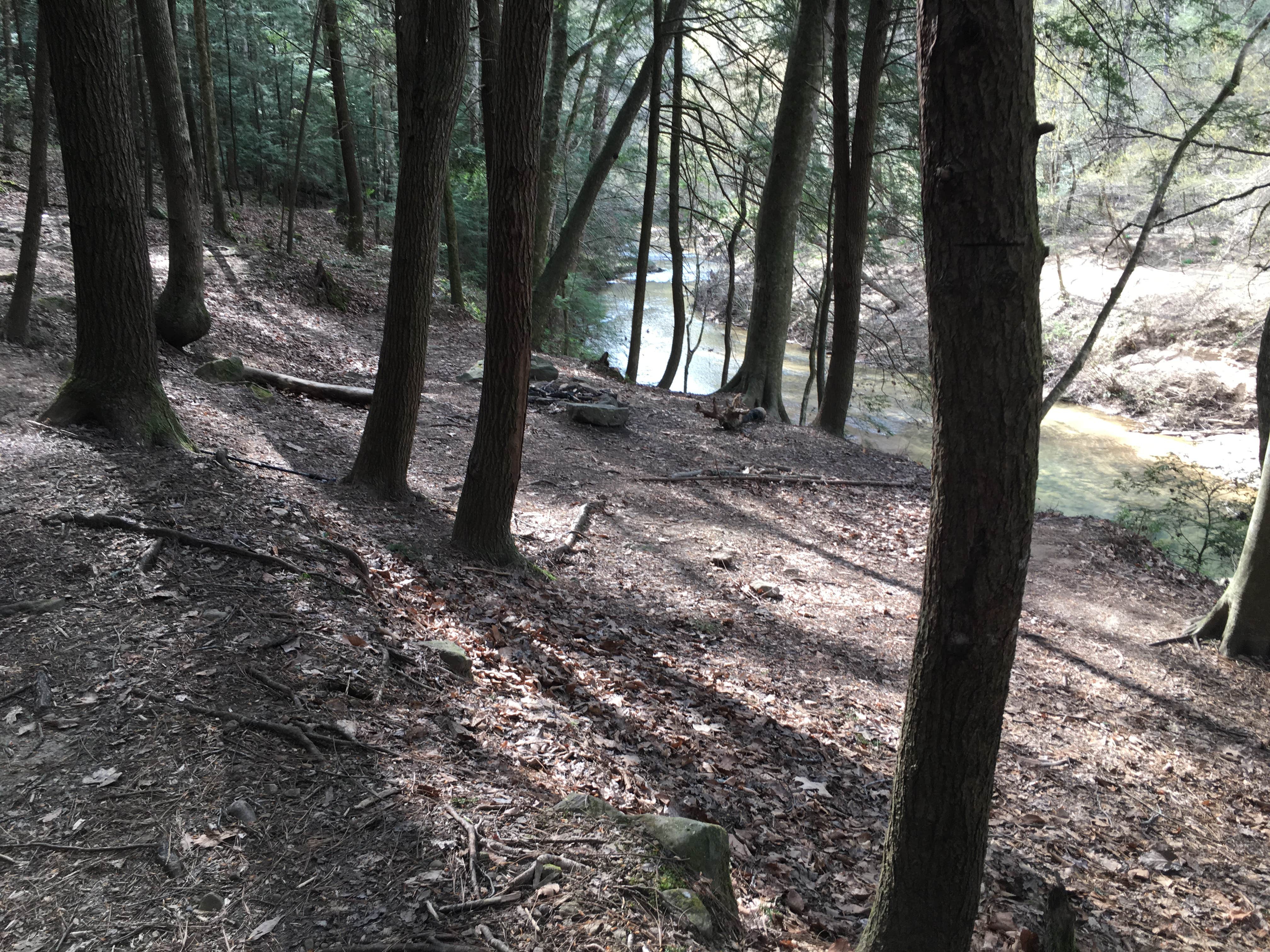 Camper-submitted photo at Sipsey Wilderness Backcountry Site (Trail 200 Site I) near Warrior, AL