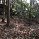 Review photo of Sipsey Wilderness Backcountry Site (Trail 200 Site I) by Asher K., June 30, 2020