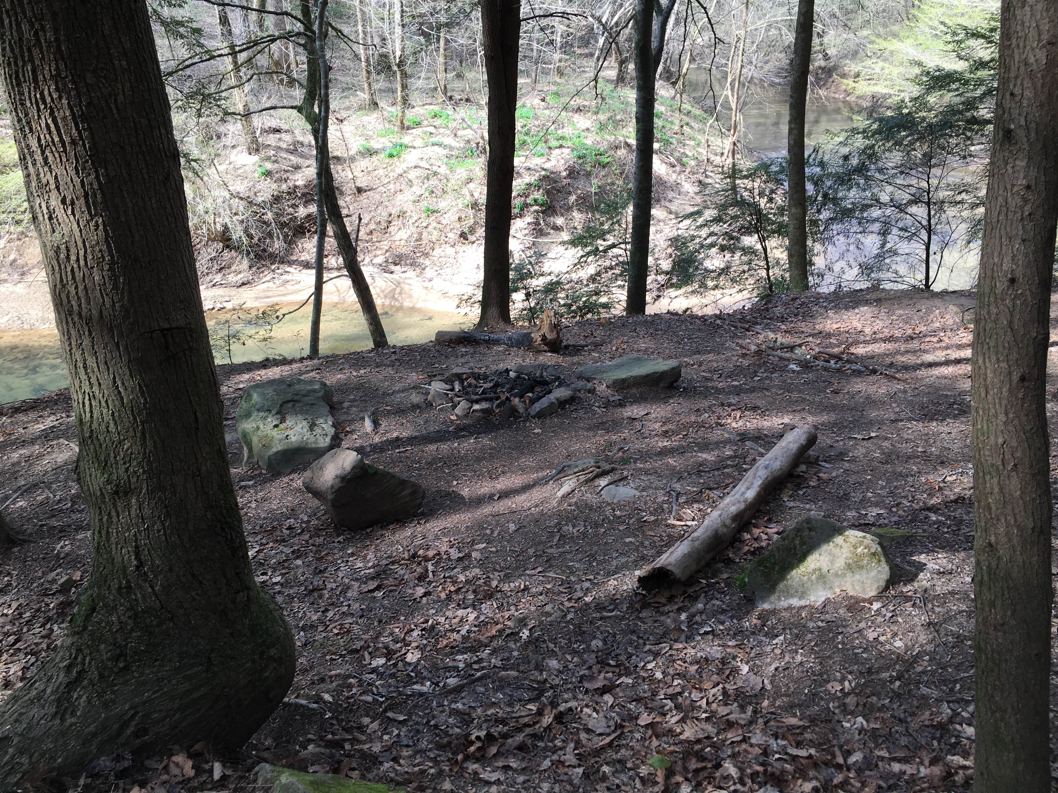 Camper-submitted photo at Sipsey Wilderness Backcountry Site (Trail 200 Site I) near Warrior, AL