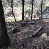 Review photo of Sipsey Wilderness Backcountry Site (Trail 200 Site I) by Asher K., June 30, 2020