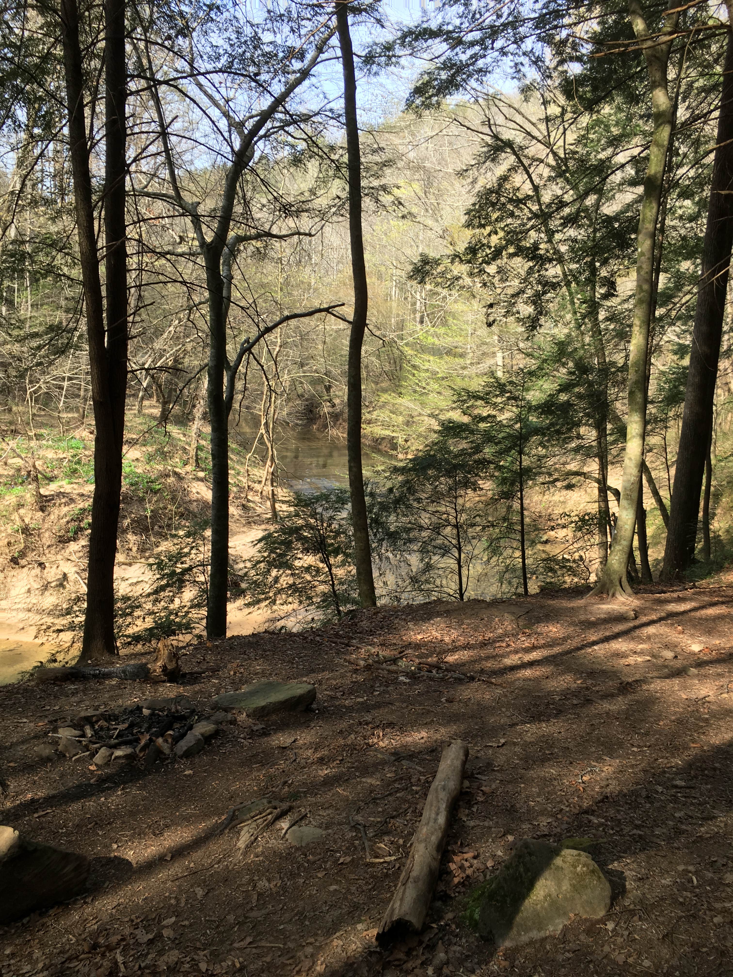 Camper-submitted photo at Sipsey Wilderness Backcountry Site (Trail 200 Site I) near Warrior, AL