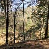 Review photo of Sipsey Wilderness Backcountry Site (Trail 200 Site I) by Asher K., June 30, 2020