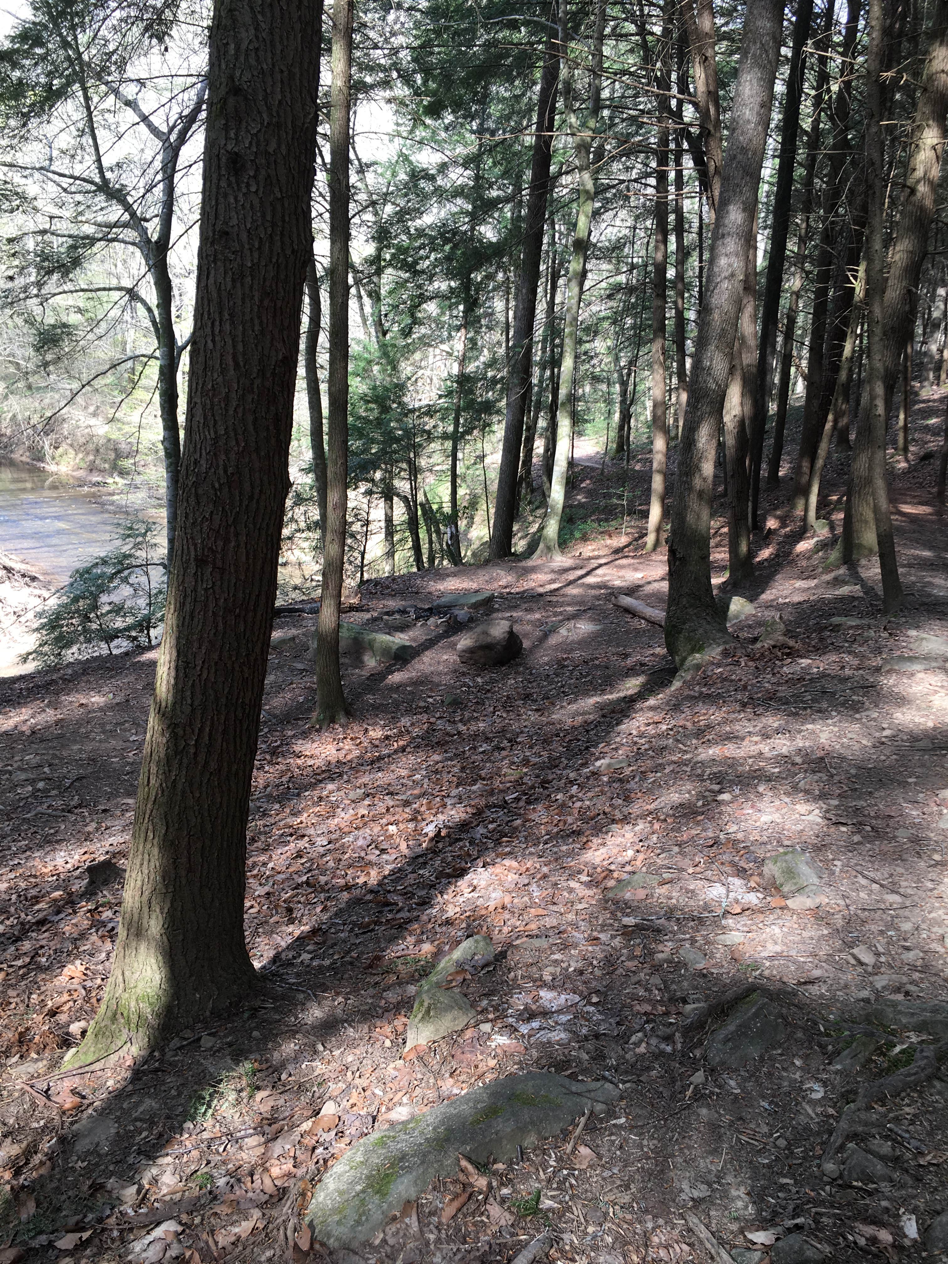 Camper-submitted photo at Sipsey Wilderness Backcountry Site (Trail 200 Site I) near Warrior, AL