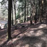 Review photo of Sipsey Wilderness Backcountry Site (Trail 200 Site I) by Asher K., June 30, 2020